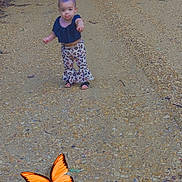 Railee joined the competition — help win amazing prizes! animal, butterfly, child, cute, daylight, forest, gravel_path, greenery, hair_buns, leopard_print, nature, outdoor, pants, person, pointing, sandals, small_child, toddler, trees, walking