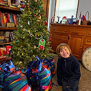 Adrias joined the competition — help win amazing prizes! bookshelf, boy, carpet, child, christmas_tree, curtains, decorations, gift_bags, gifts, holiday, holiday_spirit, home, indoor, kneeling, lights, ornaments, smile, smiling, window, wooden_furniture