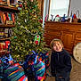 bookshelf, boy, carpet, child, christmas_tree, curtains, decorations, gift_bags, gifts, holiday, holiday_spirit, home, indoor, kneeling, lights, ornaments, smile, smiling, window, wooden_furniture