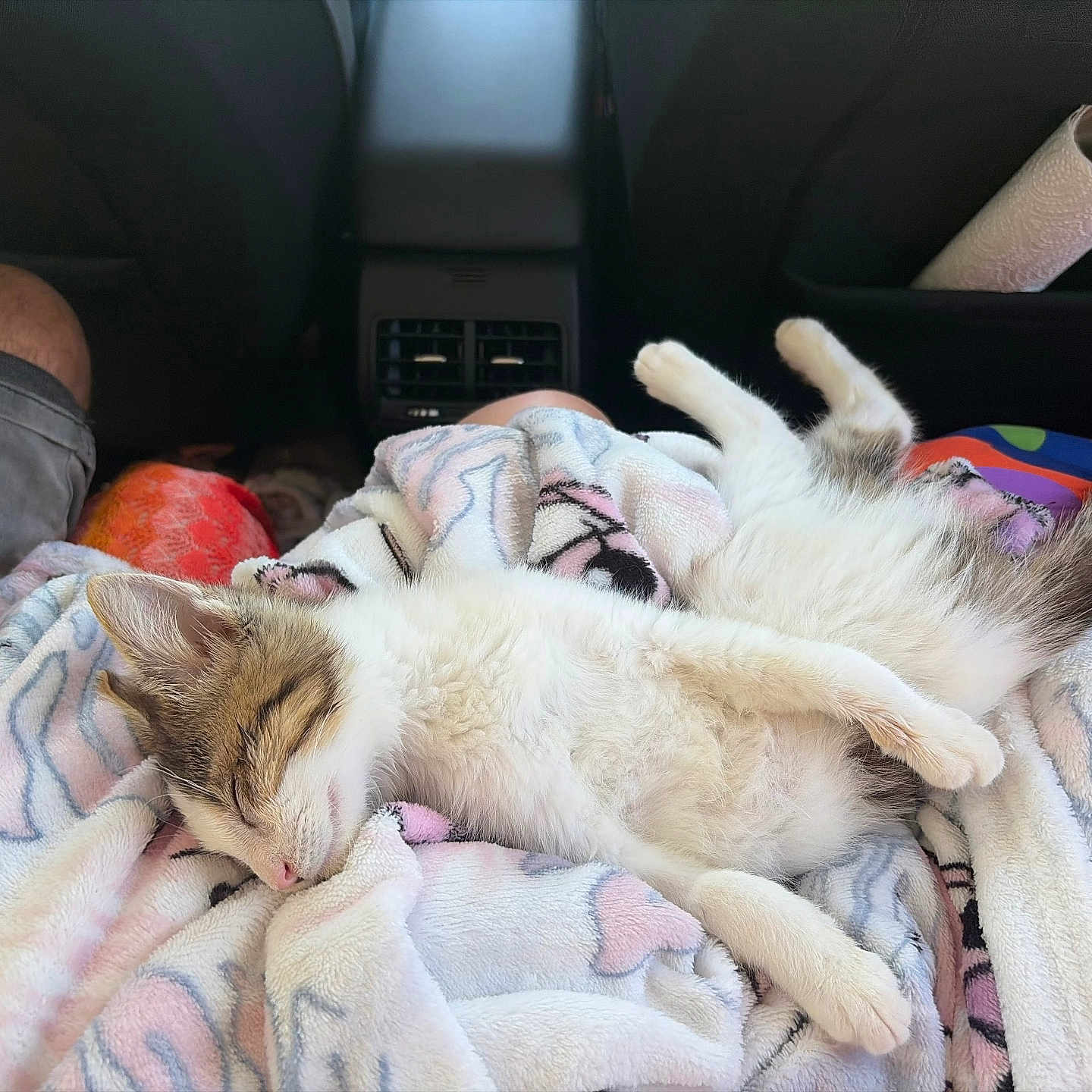 Nala