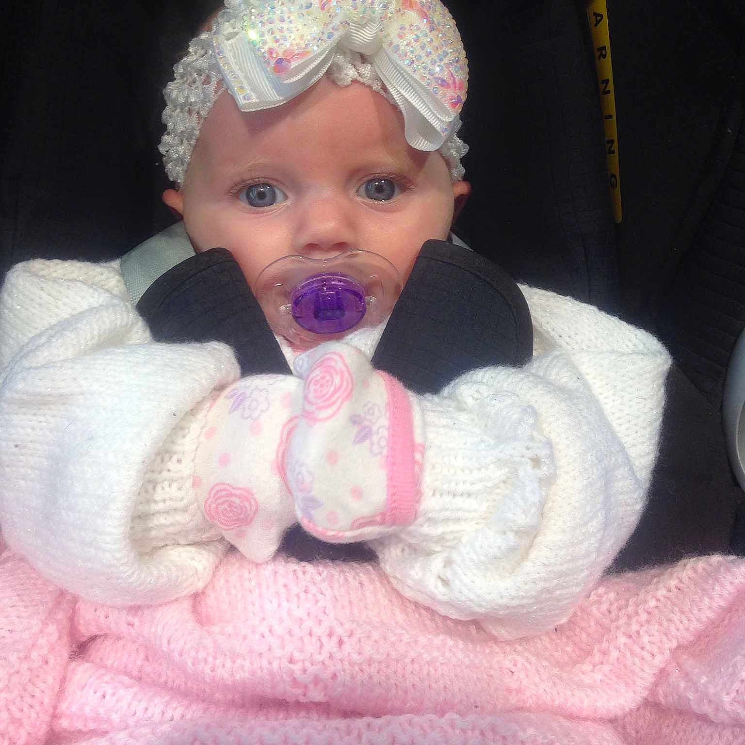 Poppy is registered to the contest to win money with this photo: