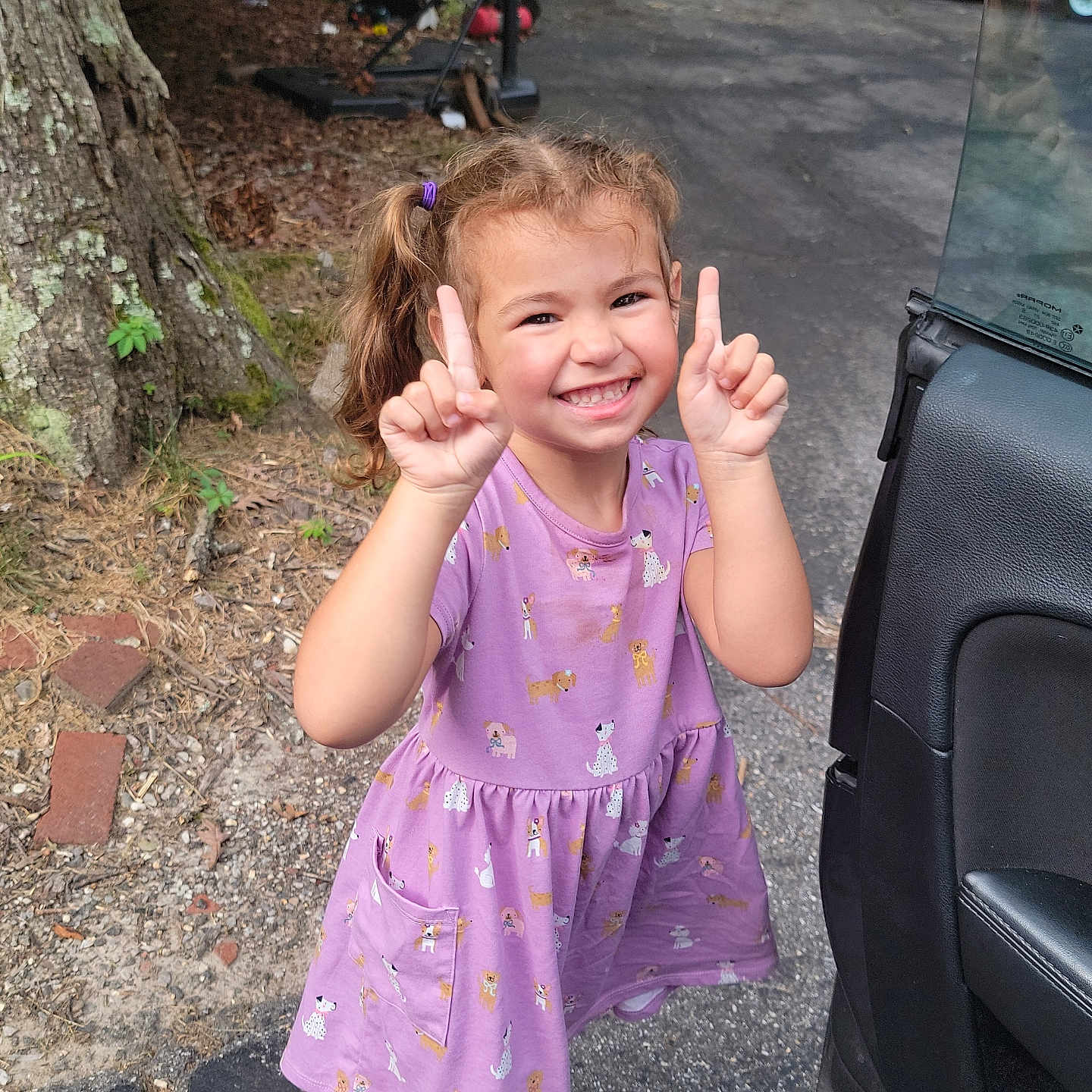 Evangeline joined the competition — help win amazing prizes! child, smiling, girl, purple_dress, pigtails, outdoor, car, open_car_door, driveway, trees, logs, playful, happy, person, footwear, asphalt, nature, daylight, posing, casual_clothing