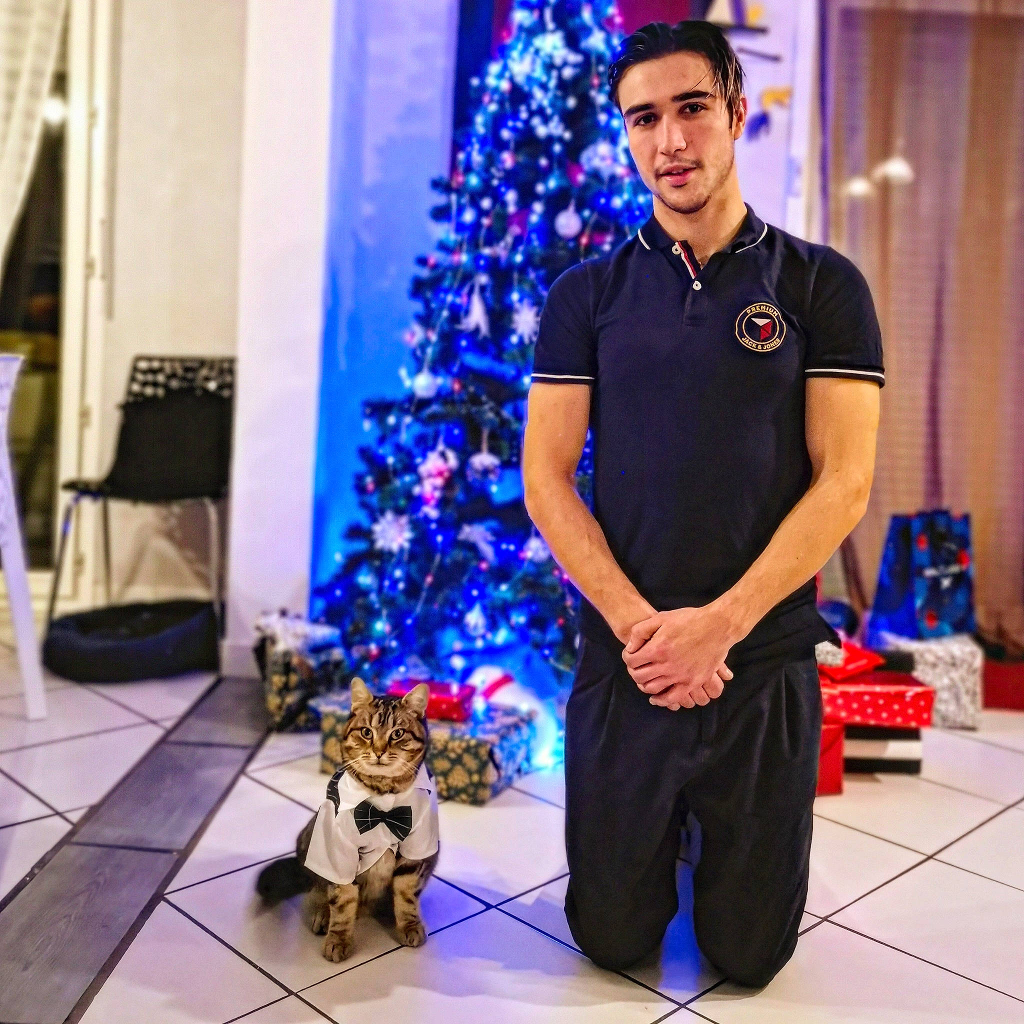 Jackson a rejoint le concours — aidez-le/la à gagner de superbes lots ! blue, carnivore, christmas, christmas_decoration, christmas_ornament, christmas_tree, companion_dog, curtain, electric_blue, event, flooring, holiday, holiday_ornament, light, lighting, ornament, photograph, snapshot, tree, white