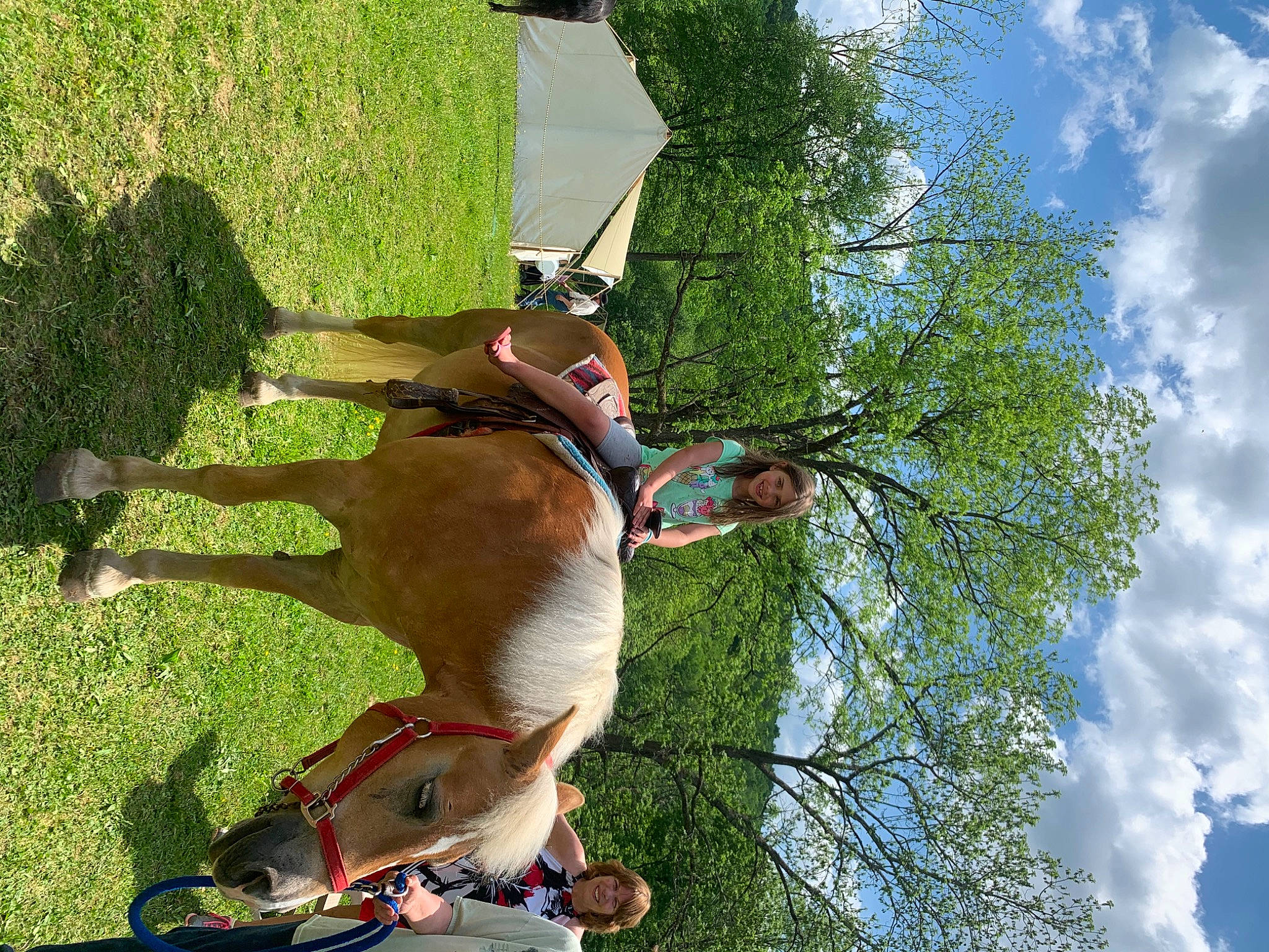Jillian is registered to the contest to win money with this photo: bridle, cloud, dog_breed, elbow, fawn, fun, grass, happy, horse, horse_tack, joy, knee, leisure, people_in_nature, person, plant, recreation, rein, sky, tail
