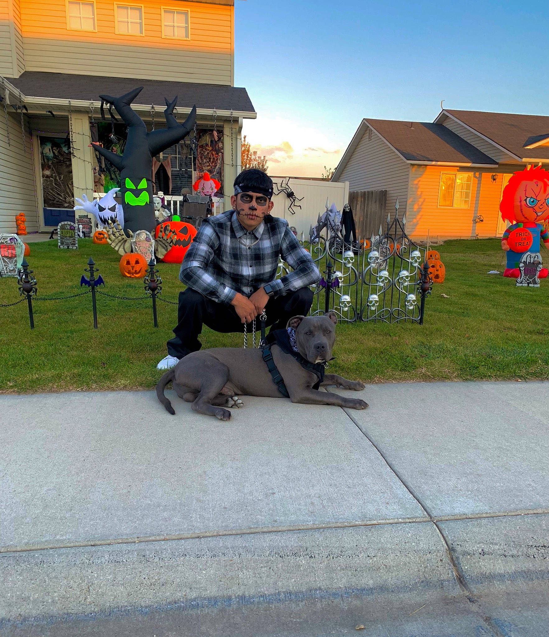 Zeus joined the competition — help win amazing prizes! asphalt, backpack, bagpipes, building, city, concrete, fun, grass, house, landscape, leisure, luggage_and_bags, personal_protective_equipment, plant, public_space, recreation, road_surface, sidewalk, sitting, sky