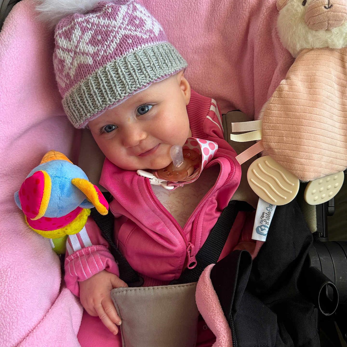Erica is registered to the contest to win money with this photo: baby, baby_jacket, blanket, blue_eyes, child, cozy, cute, happy, indoor, infant, knit_hat, pacifier, pink_clothing, plush_toy, pom_pom, portrait, smile, soft_toys, stroller, warm