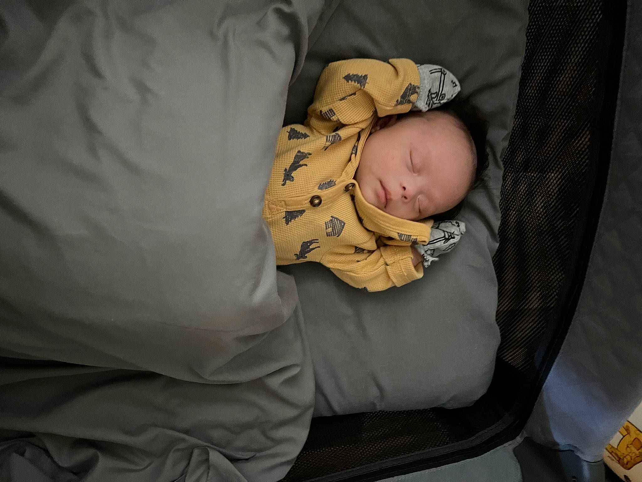 Kayden is registered to the contest to win money with this photo: baby, baby_carriage, baby_products, baby_safety, baby_sleeping, baby_toddler_clothing, bedtime, child, comfort, infant_bed, leg, linens, nap, person, room, sitting, sleep, sleeve, toddler, tree