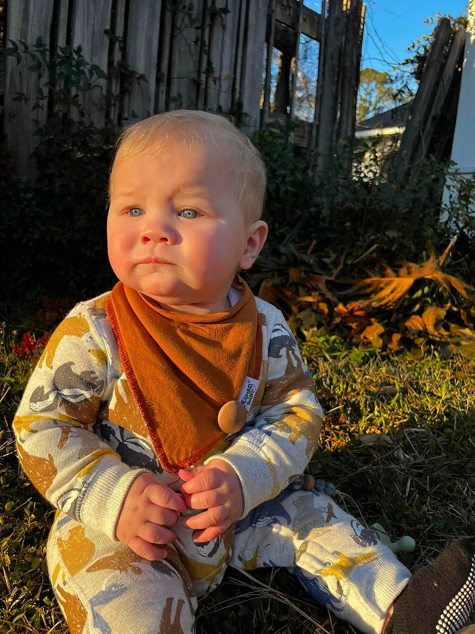 Trace joined the competition — help win amazing prizes! autumn, baby, baby_toddler_clothing, child, fun, garden, grass, happy, leaf, people_in_nature, person, plant, portrait_photography, sitting, sky, soil, toddler, tree, wood