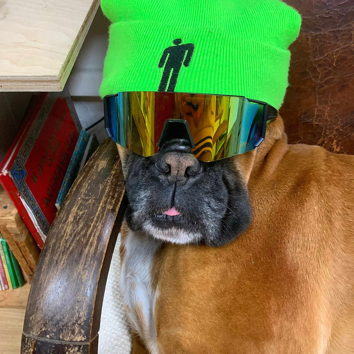 Bulbuna