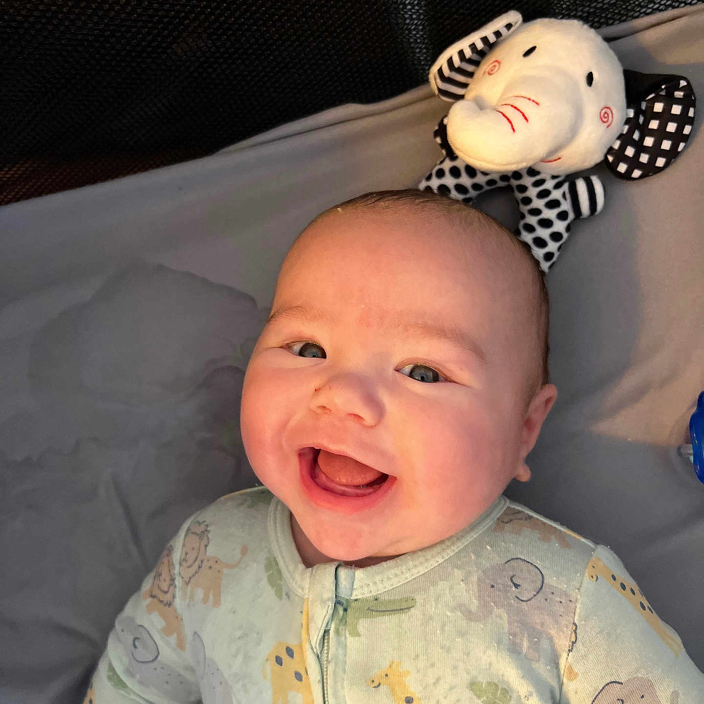 Liam joined the competition — help win amazing prizes! animal, baby, babylaughing, bed, crib, cushion, face, furniture, giraffe, happy, head, homedecor, infantbed, laughing, newborn, person, photography, portrait, smile, toy