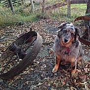 Matisse is registered to the contest to win money with this photo: