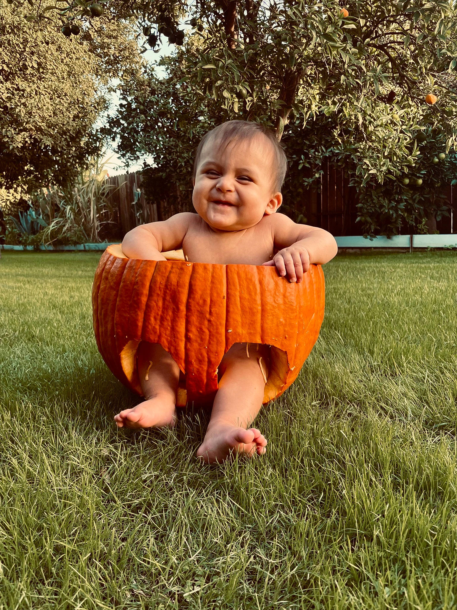 Joaquin joined the competition — help win amazing prizes! baby, baby_toddler_clothing, barefoot, flash_photography, fun, gesture, grass, happy, joy, leisure, meadow, people_in_nature, person, plant, recreation, sitting, smile, sunlight, t_shirt, thumb