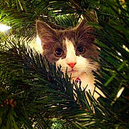 Miss Rue is registered to the contest to win money with this photo: