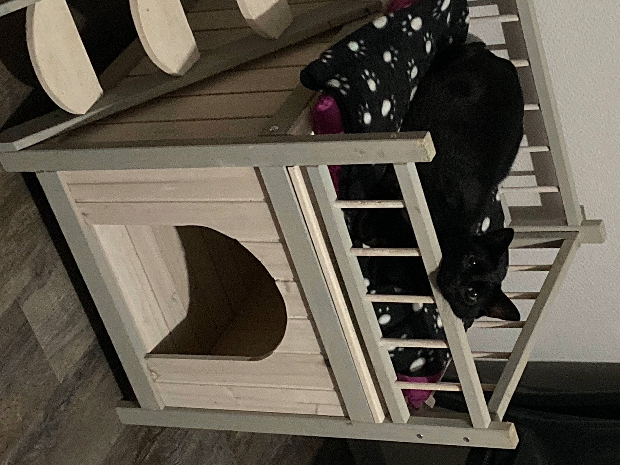 Gimli participe au concours pour gagner de l'argent avec cette photo : architecture, black, carmine, chair, font, furniture, hardwood, monochrome_photography, pattern, plywood, product, rectangle, room, shelf, shelving, stairs, table, white, wood, wood_stain