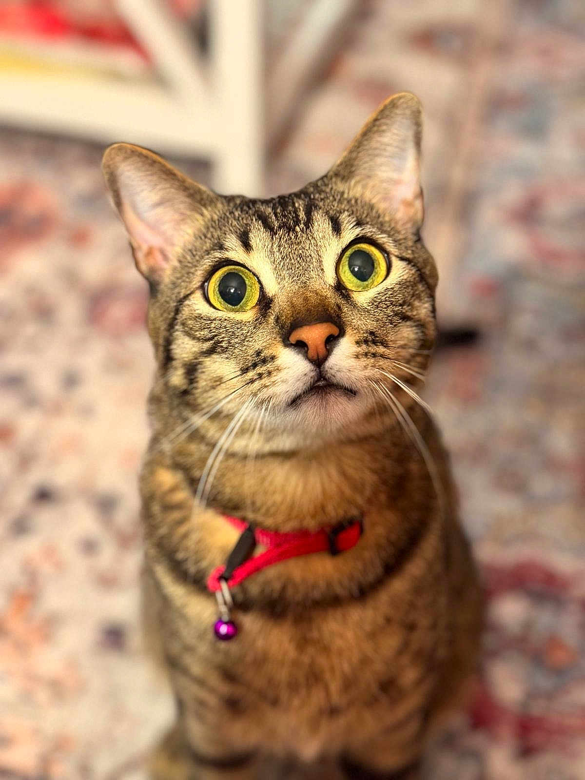 Sebastian