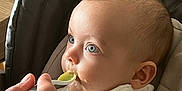 élio a rejoint le concours — aidez-le/la à gagner de superbes lots ! baby, bib, blue_eyes, bunny, care, child, close_up, cute, feeding, feeding_time, food, hand, high_chair, indoor, infant, messy_face, person, soft_lighting, spoon, textile