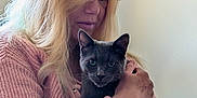 Badlilbtch joined the competition — help win amazing prizes! woman, cat, gray_cat, indoor, portrait, holding, pink_sweater, long_hair, blonde_hair, pet, animal, cozy, affection, face, hand, tattoo, calm, closeup, casual, home