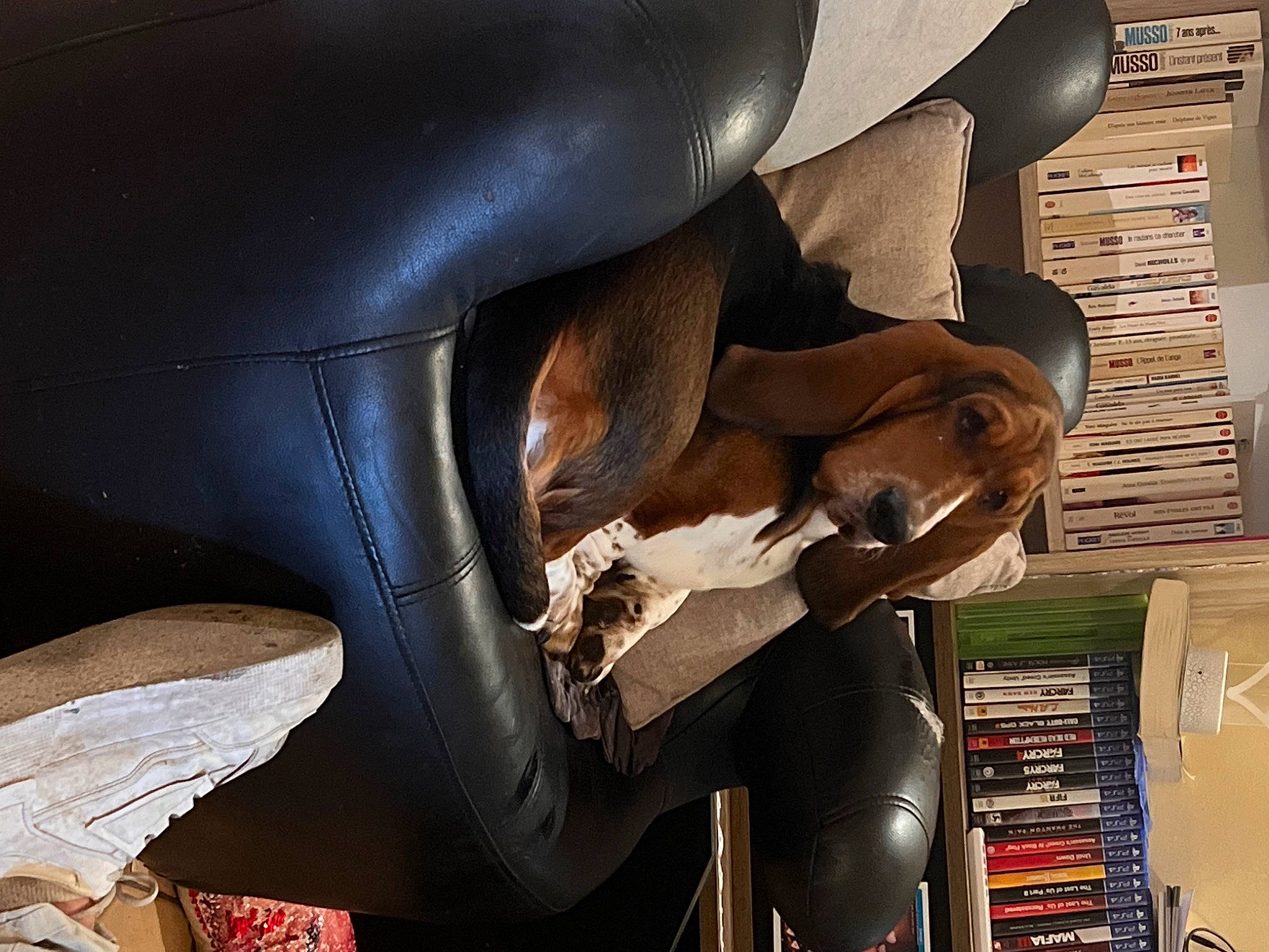 Tartine a rejoint le concours — aidez-le/la à gagner de superbes lots ! art, auto_part, automotive_design, automotive_exhaust, automotive_exterior, automotive_lighting, automotive_wheel_system, bumper, car_seat, car_seat_cover, comfort, fender, gesture, hood, human_leg, machine, metal, motor_vehicle, personal_protective_equipment, vehicle_door