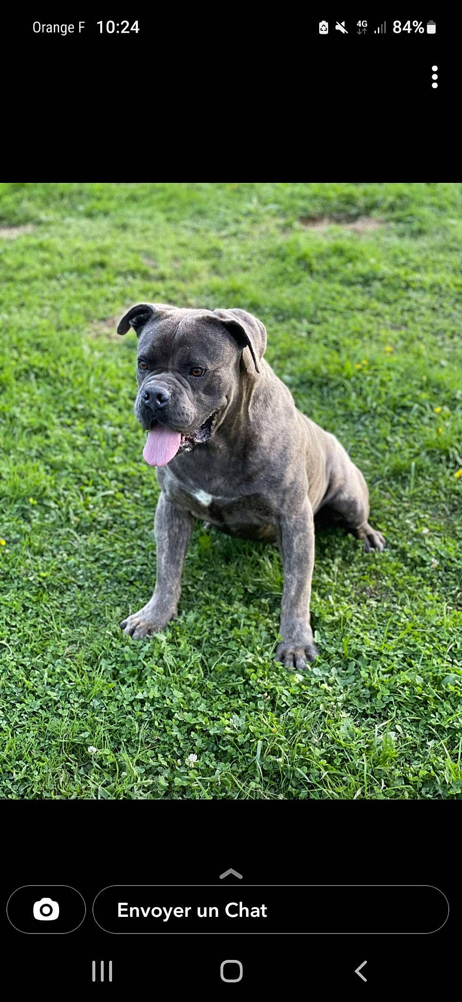 Primo