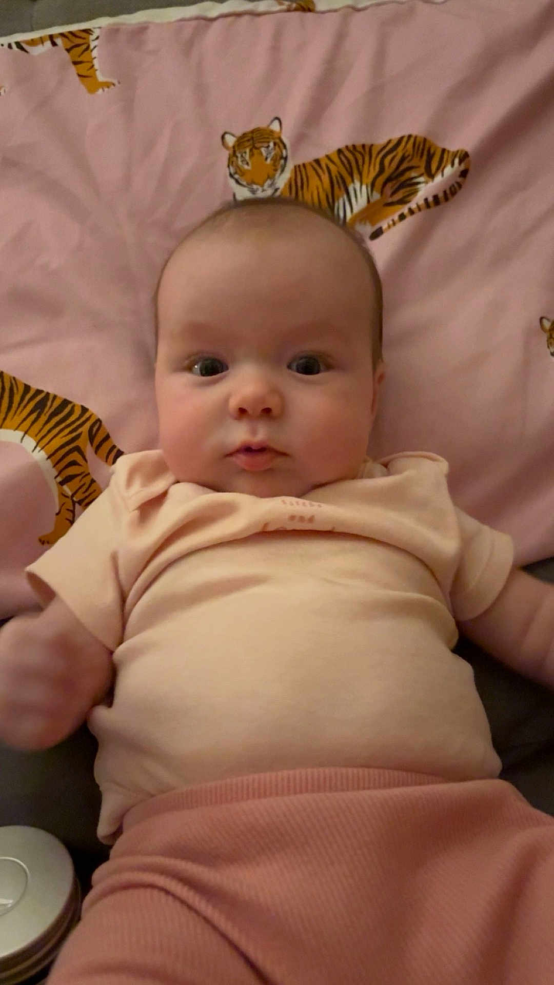 Poppy joined the competition — help win amazing prizes! baby, infant, child, person, face, pink_clothing, blanket, tiger_pattern, cute, portrait, indoors, soft_lighting, lying_down, closeup, expression, young, skin, head, small_hands, apparel