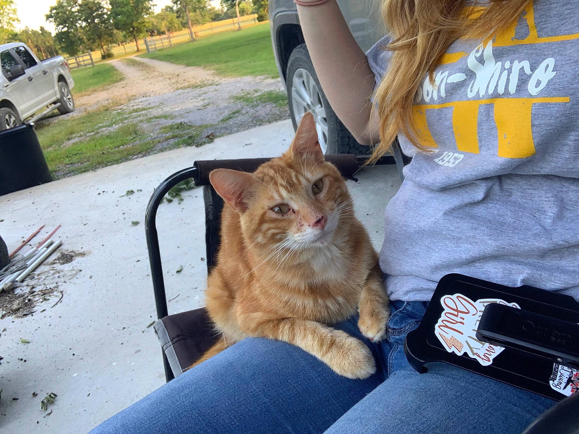 animal, casual, cat, chair, companion, driveway, grass, jeans, lap, nature, orange_tabby, outdoor, person, pet, relaxed, rural, sunlight, trees, tshirt, vehicle