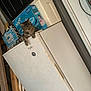 Willow joined the competition — help win amazing prizes! animal, appliance, box, cat, clutter, container, door, freezer, furniture, garage, household, indoor, pet, porch, relaxed, resting, rust, storage, tabby, tabby_cat
