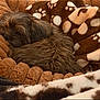 Louie is registered to the contest to win money with this photo: dog, sleeping, blanket, bed, cozy, fur, brown, pet, resting, cute, animal, domestic, comfort, warm, soft, indoor, nap, fur_texture, snuggling, relaxation