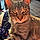 Bubba Ray