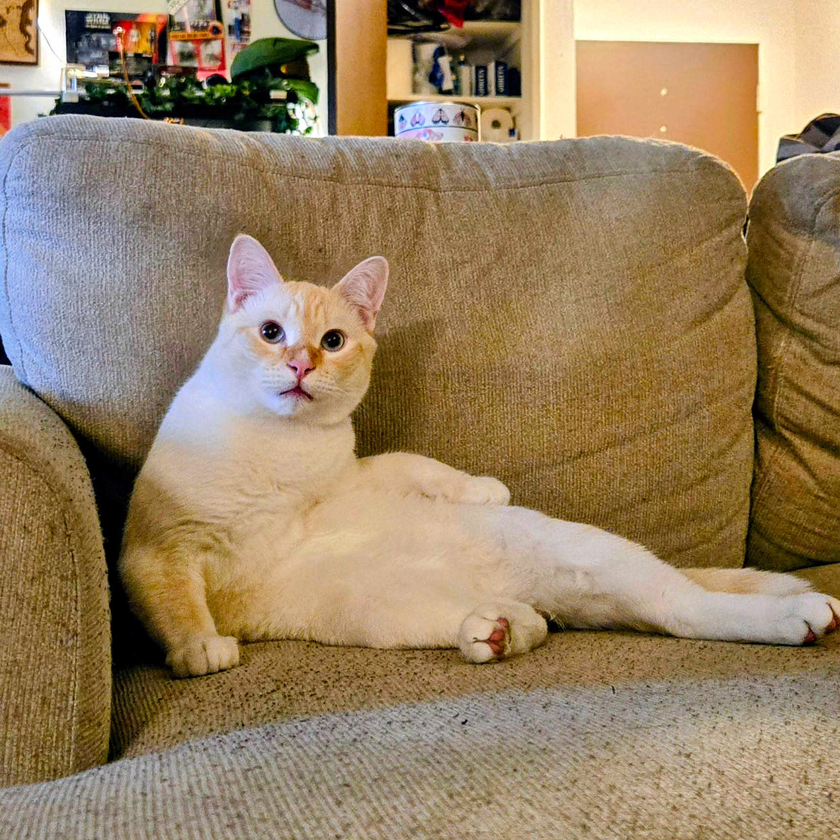 Lenny