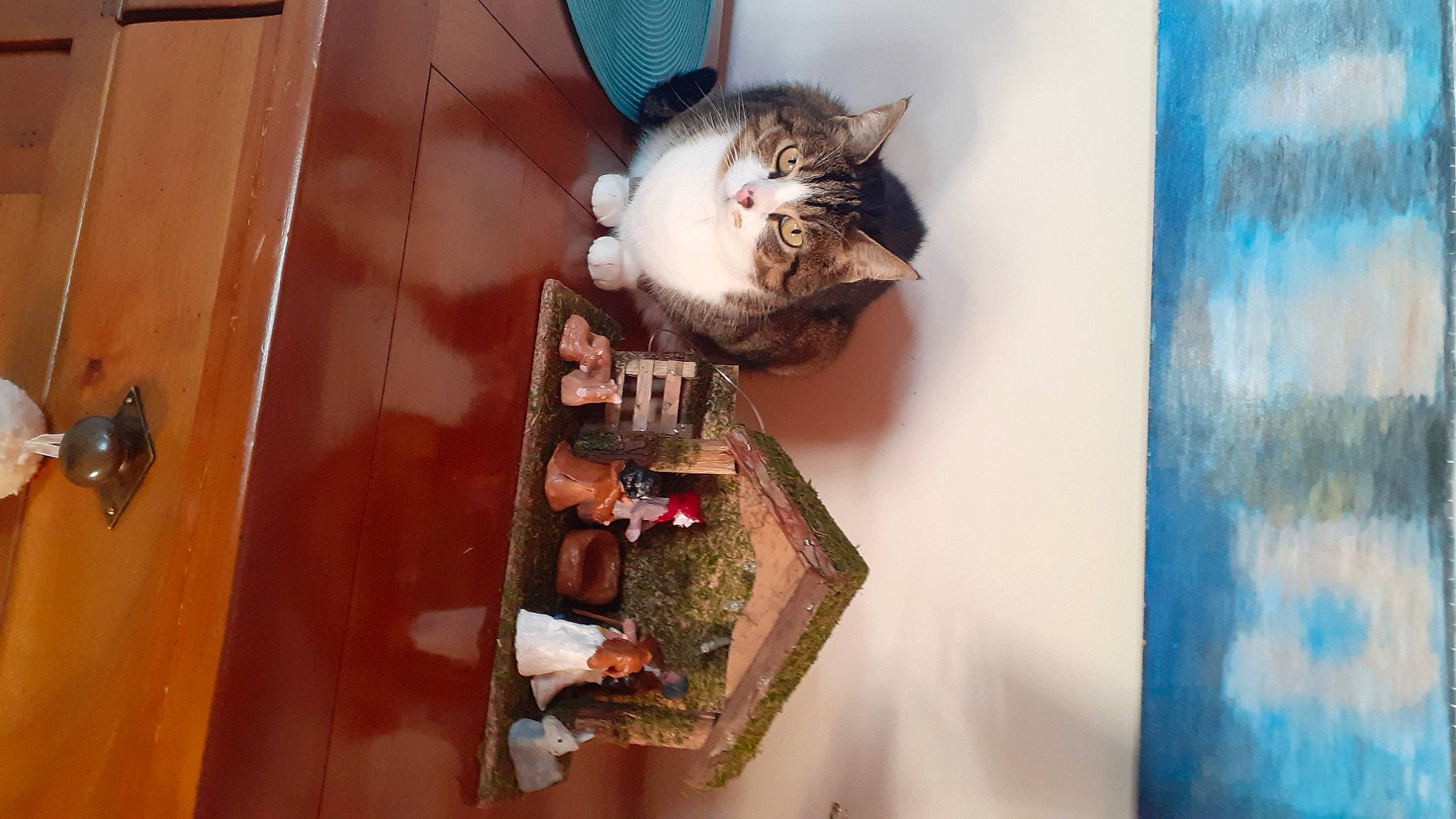 Malice a rejoint le concours — aidez-le/la à gagner de superbes lots ! art, cat, domestic_short_haired_cat, felidae, fur, hardwood, house, plant, rectangle, room, shelf, shelving, small_to_medium_sized_cats, table, tail, tree, visual_arts, whiskers, window, wood