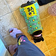 Celeste is registered to the contest to win money with this photo: dog, pet, pajamas, green_clothing, collar, tile_floor, slippers, pink_slippers, human_leg, sweatpants, cozy, indoor, small_dog, french_bulldog, top_down_view, patterned_fabric, accessory, resting, floor_tile, home_interior