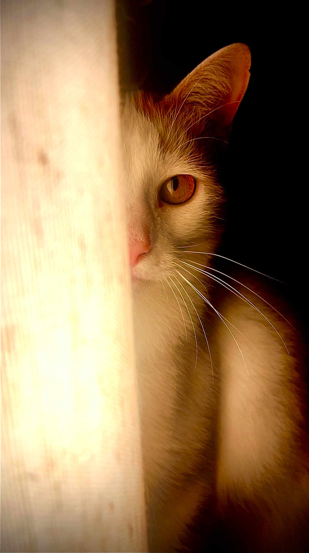 Oliver