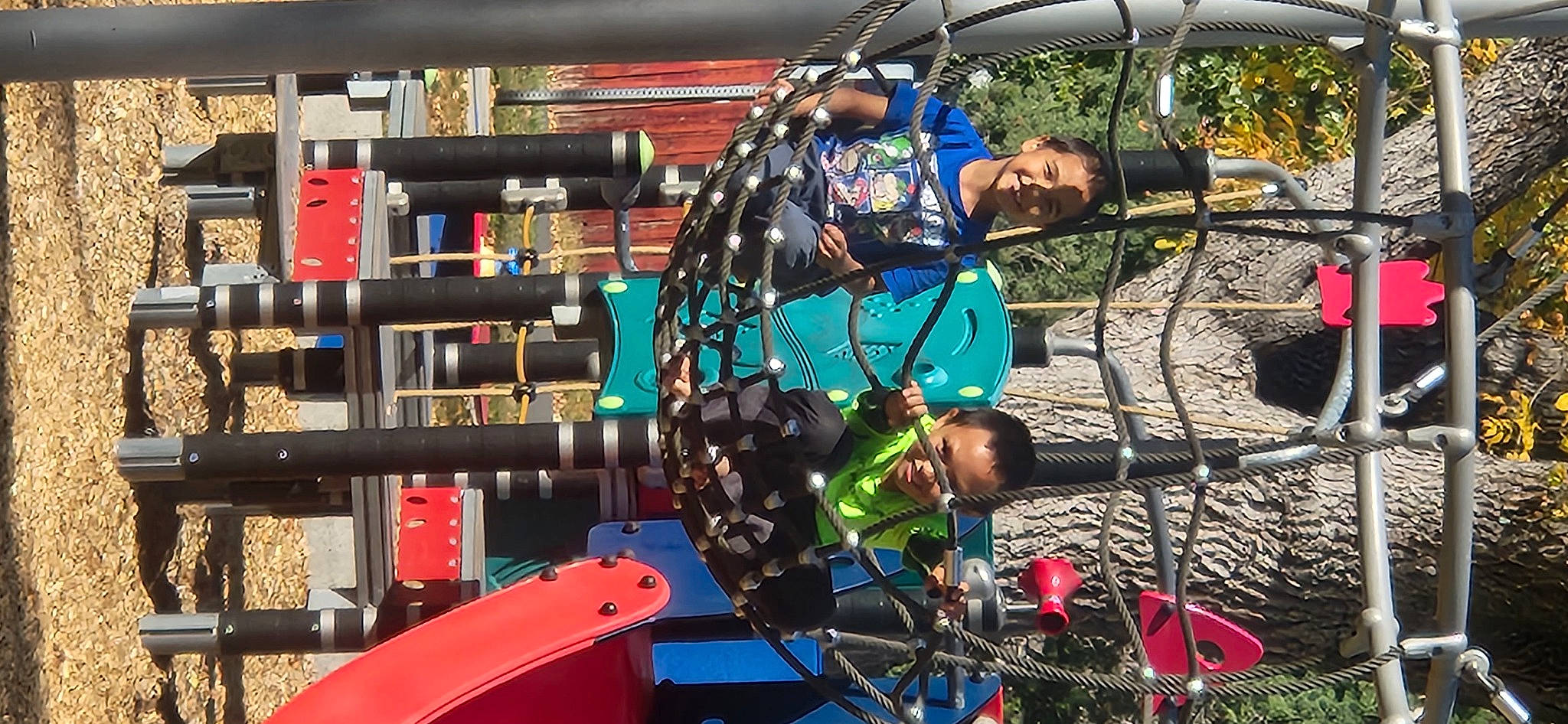 Eli is registered to the contest to win money with this photo: adventure, amusement_park, amusement_ride, auto_part, city, engineering, event, fun, helmet, joy, leisure, machine, outdoor_play_equipment, person, personal_protective_equipment, recreation, rope, shorts, tree