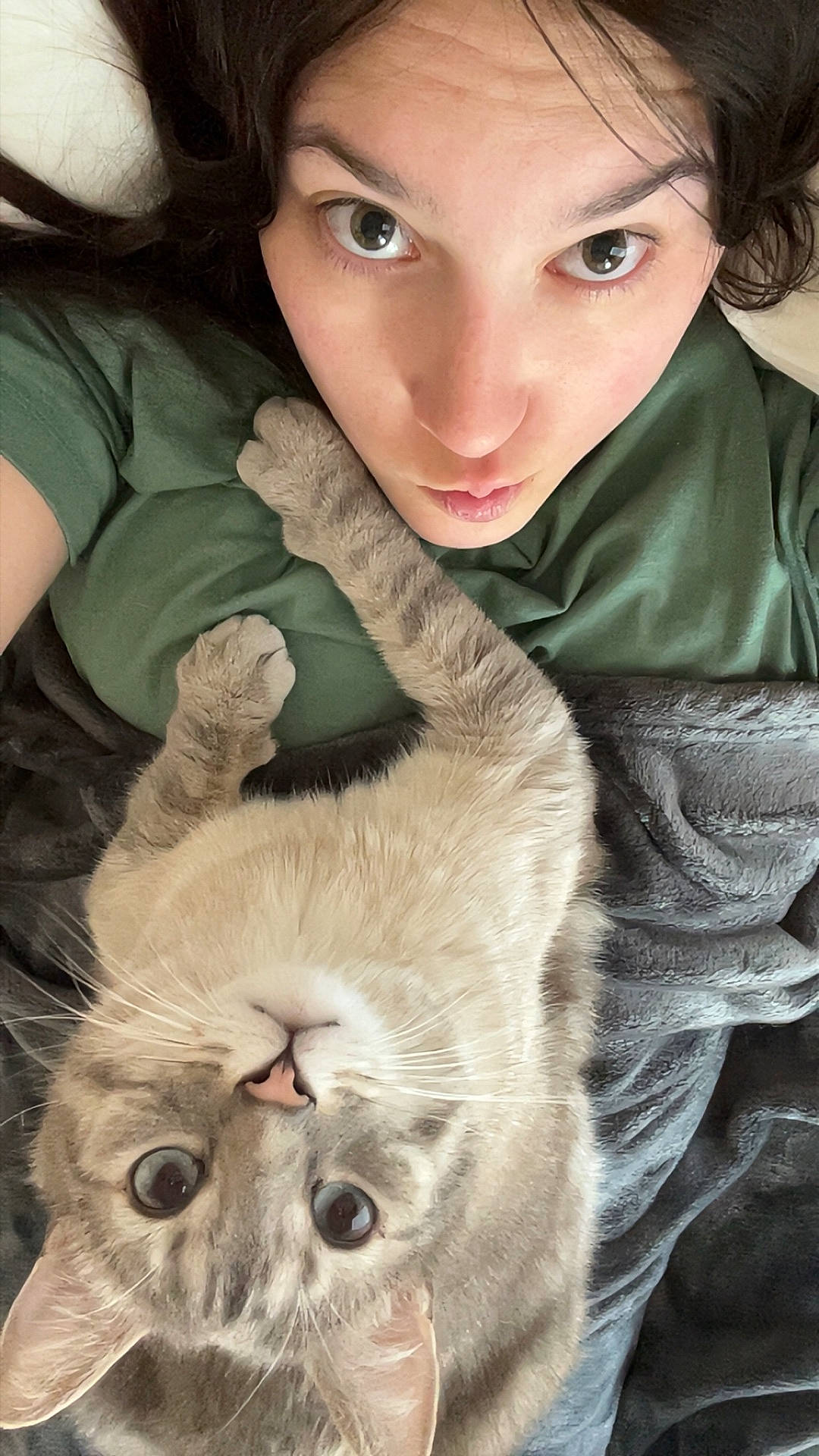 animal, bed, blanket, cat, closeup, cozy, cute, expression, eyes, face, fur, green_shirt, indoor, lying_down, nose, paw, person, pet, relaxed, whiskers