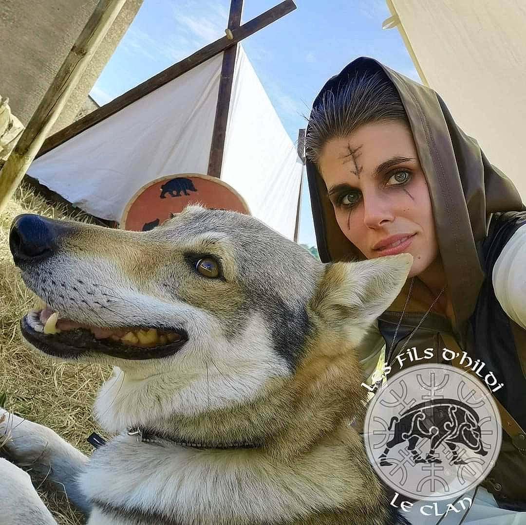 Helsing participe au concours pour gagner de l'argent avec cette photo : ancient_dog_breeds, canidae, canis, carnivore, collar, czechoslovakian_wolfdog, dog, dog_breed, fur, hood, hoodie, jaw, northern_inuit_dog, selfie, sled_dog, snout, sulimov_dog, vertebrate, wolf, wolfdog