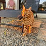 cat, orange_tabby, outdoor, patio, sunset_light, lounge_chair, pebbled_floor, feline, pet, animal, walking, blurred_background, green_eyes, whiskers, sunlight, relaxing, home, daytime, closeup, domestic_cat