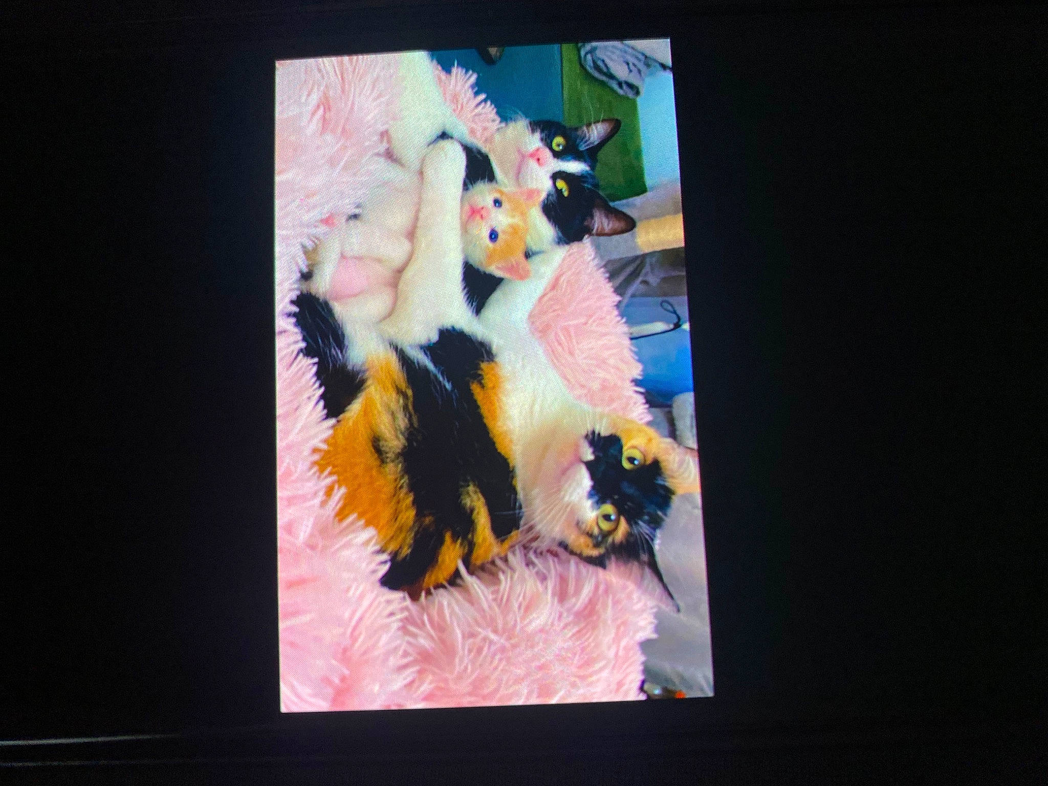 Missy participe au concours pour gagner de l'argent avec cette photo : animation, art, display_device, event, flat_panel_display, font, gadget, graphic_design, graphics, magenta, modern_art, multimedia, paint, painting, rectangle, room, screen, space, visual_arts, watercolor_paint