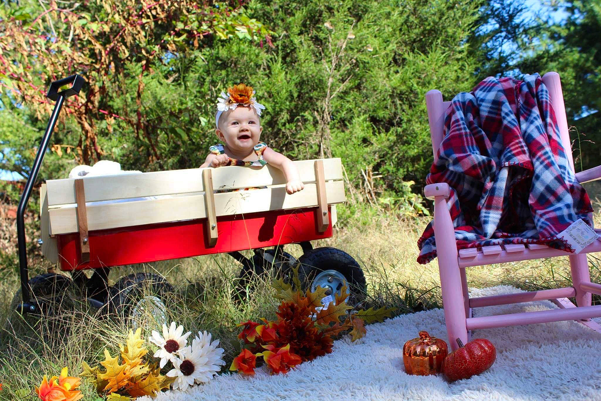 Octavia joined the competition — help win amazing prizes! cart, person, plant, tree, vehicle, wagon