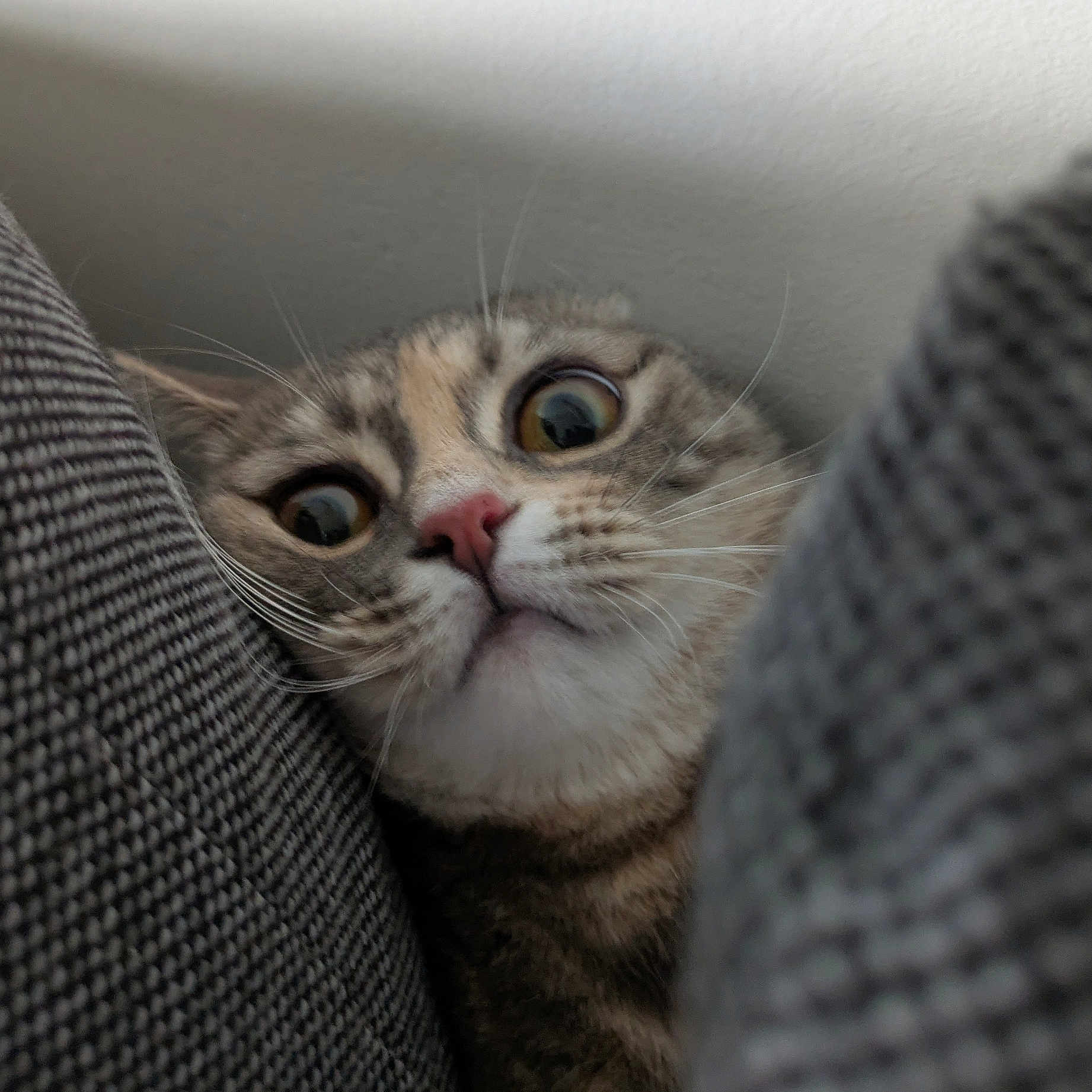 Aïko