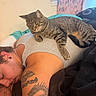 Appa is registered to the contest to win money with this photo: cat, tabby_cat, pet, sleeping, relaxed, animal, feline, whiskers, striped_fur, indoors, bedroom, blanket, pillow, human, sleeping_person, tattoo, gray_shirt, curtains, cozy, portrait