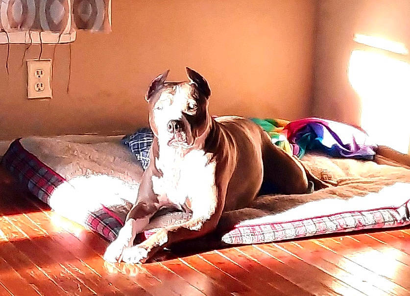 Grace Anne is registered to the contest to win money with this photo: black_hair, comfort, cool, eyewear, flash_photography, flesh, flooring, foot, fun, happy, human_leg, knee, leisure, mouth, performing_arts, room, sitting, smile, tattoo, thigh