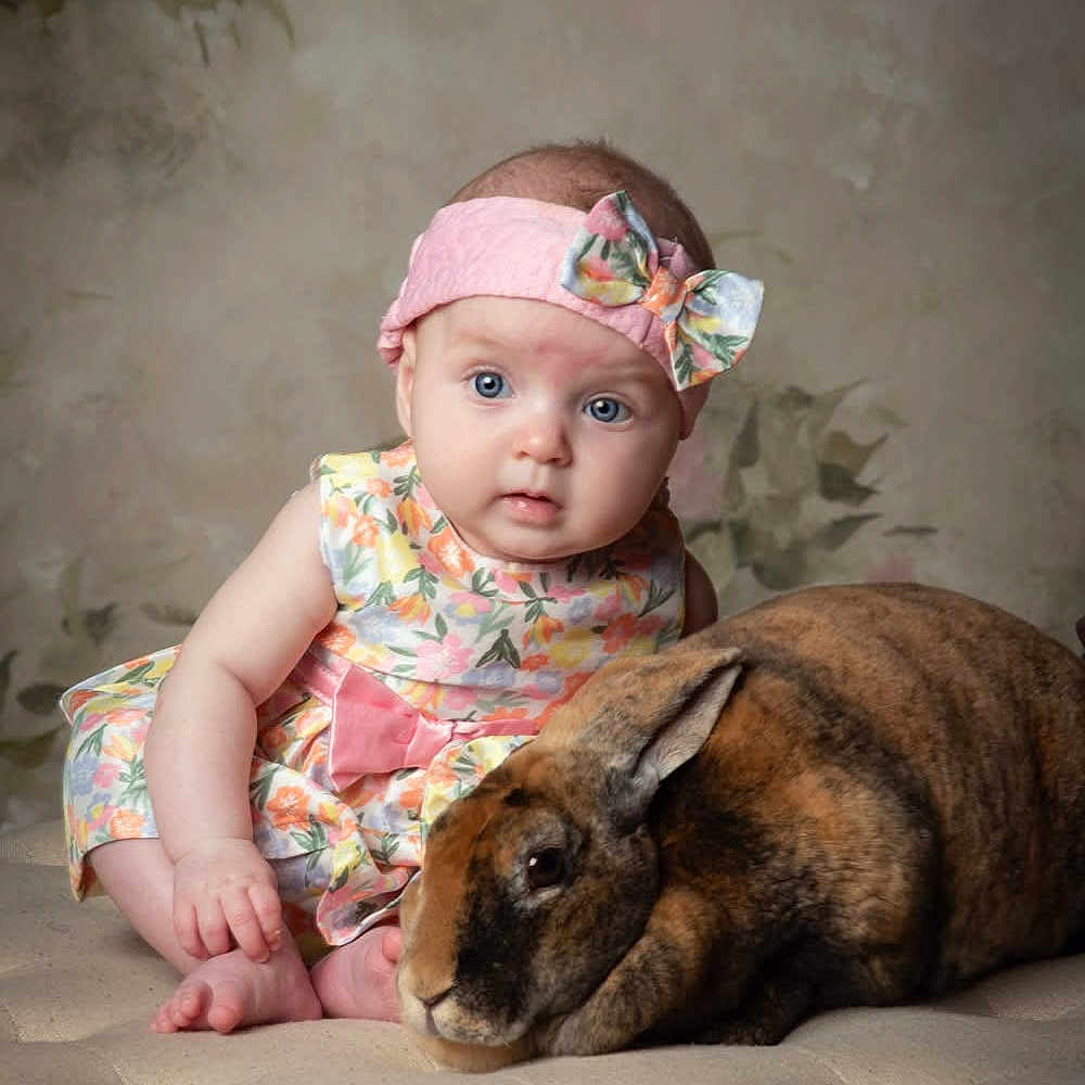 Lani Rose joined the competition — help win amazing prizes! animal, animal_companion, baby, background, child, cozy, curious, cute, floral_dress, furniture, headband, indoor, pet, pink, portrait, rabbit, sitting, soft_lighting, studio_photo, young_child