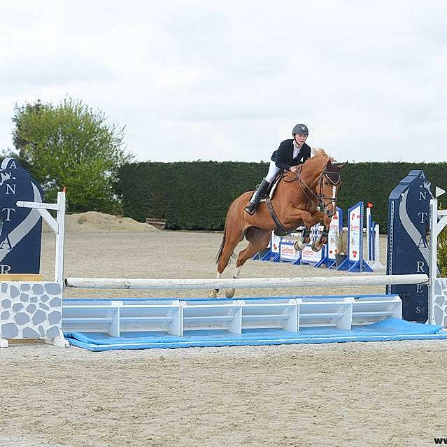 Epi participe au concours pour gagner de l'argent avec cette photo : animal_sports, bridle, dressage, english_riding, equestrian, equestrianism, equitation, eventing, halter, horse, horse_supplies, horse_tack, hunt_seat, jumping, mammal, outdoor_recreation, rein, saddle, show_jumping