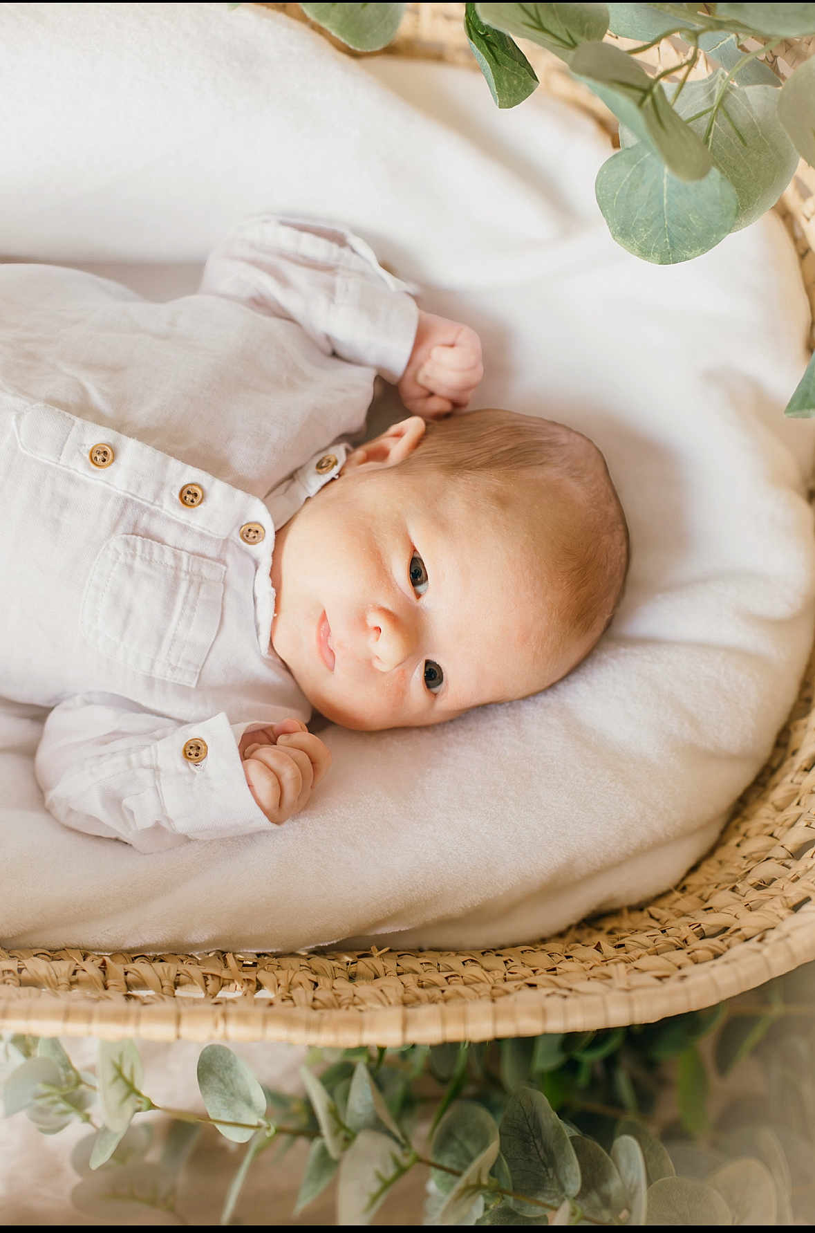 Léandre a rejoint le concours — aidez-le/la à gagner de superbes lots ! baby, infant, basket, blanket, greenery, leaves, soft, cute, newborn, face, portrait, cozy, white_clothing, wooden_texture, natural_light, peaceful, resting, small_hands, lying_down, closeup