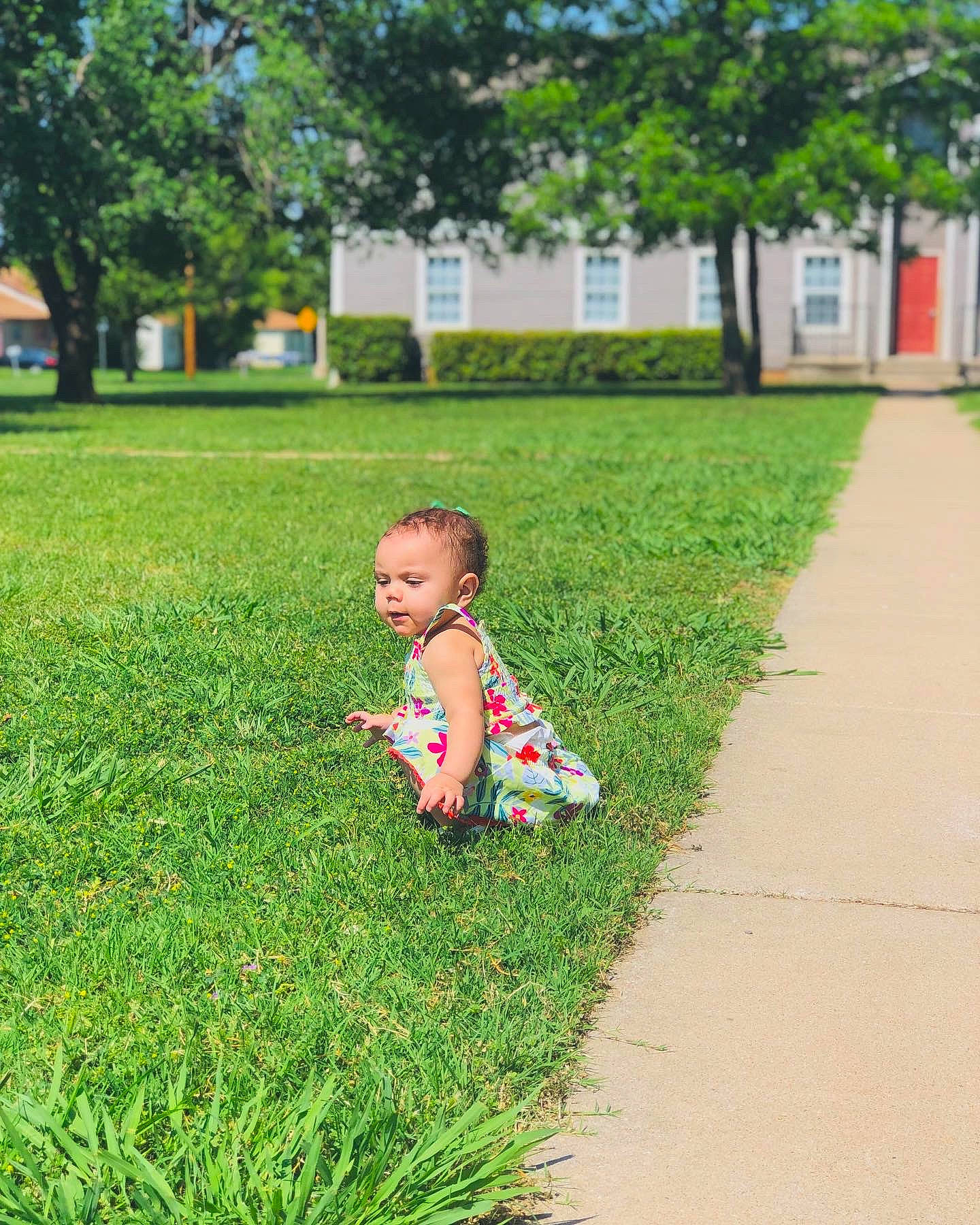 Zaryah is registered to the contest to win money with this photo: baby, baby_toddler_clothing, child, fun, grass, grassland, groundcover, happy, landscape, lawn, leaf, leisure, meadow, morning, people_in_nature, person, plant, recreation, shrub, toddler