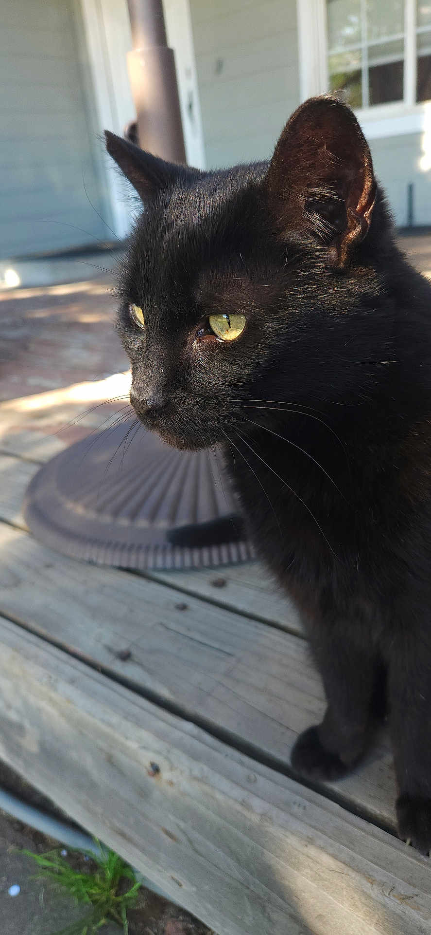 Vader