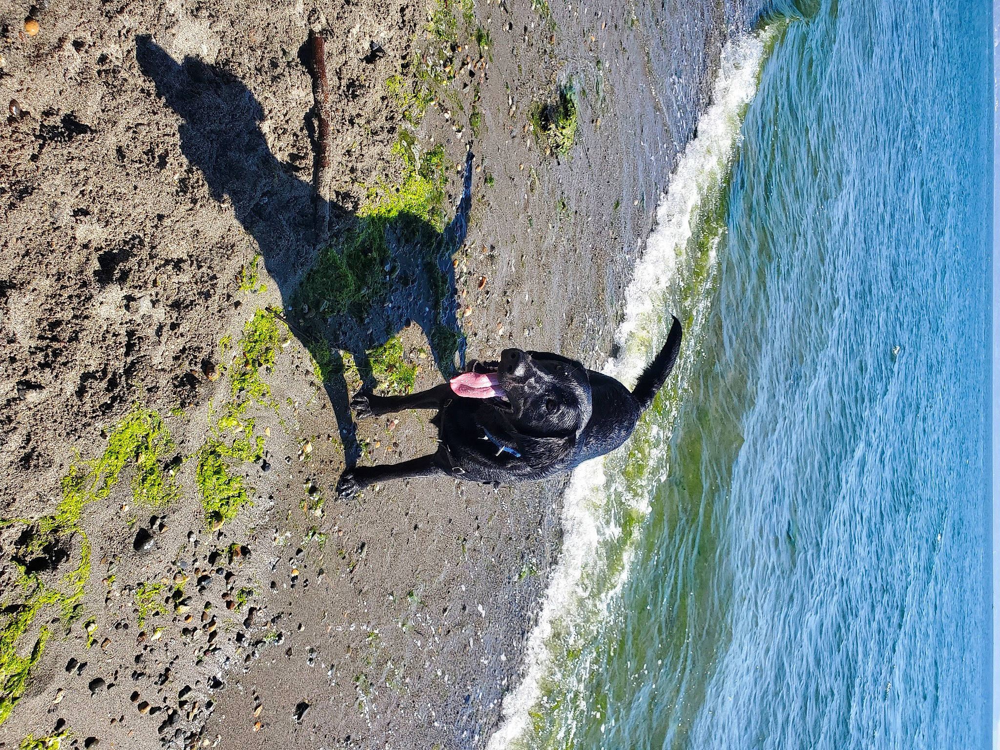 Gideon joined the competition — help win amazing prizes! adventure, asphalt, extreme_sport, fun, grass, lake, landscape, leisure, people_in_nature, recreation, road_surface, rock, shadow, slope, soil, water, water_resources, watercourse, wave, wind_wave