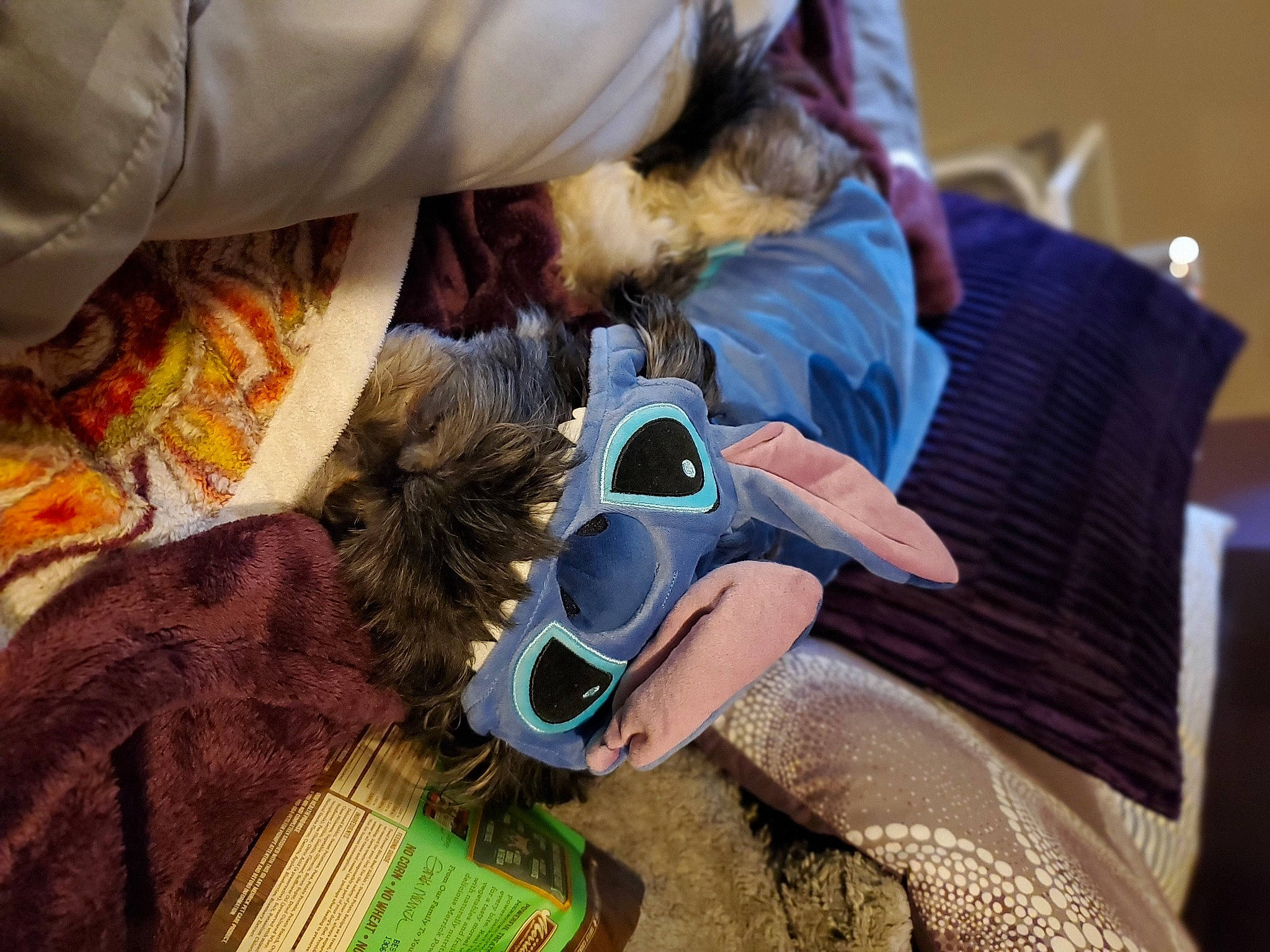 Tobias is registered to the contest to win money with this photo: camera, comfort, eyewear, fashion_accessory, fashion_design, gadget, glove, goggles, mask, nail, personal_protective_equipment, reflex_camera, room, safety_glove, service, single_lens_reflex_camera, sunglasses, textile, vision_care, wrist