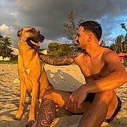 Saiko a rejoint le concours — aidez-le/la à gagner de superbes lots ! man, dog, beach, sand, tattoo, sunset, outdoor, smile, animal, pet, portrait, nature, sky, cloud, tree, shirtless, friendship, happy, leisure, vacation