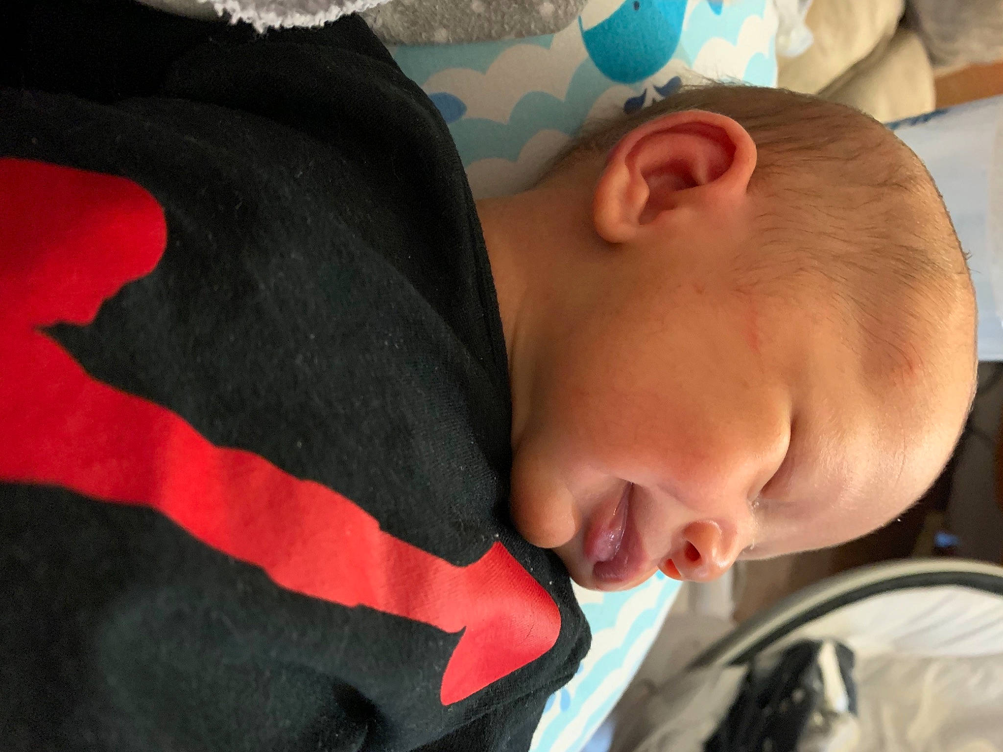 Majesty joined the competition — help win amazing prizes! baby, cheek, child, ear, nap, nose, person, sleep